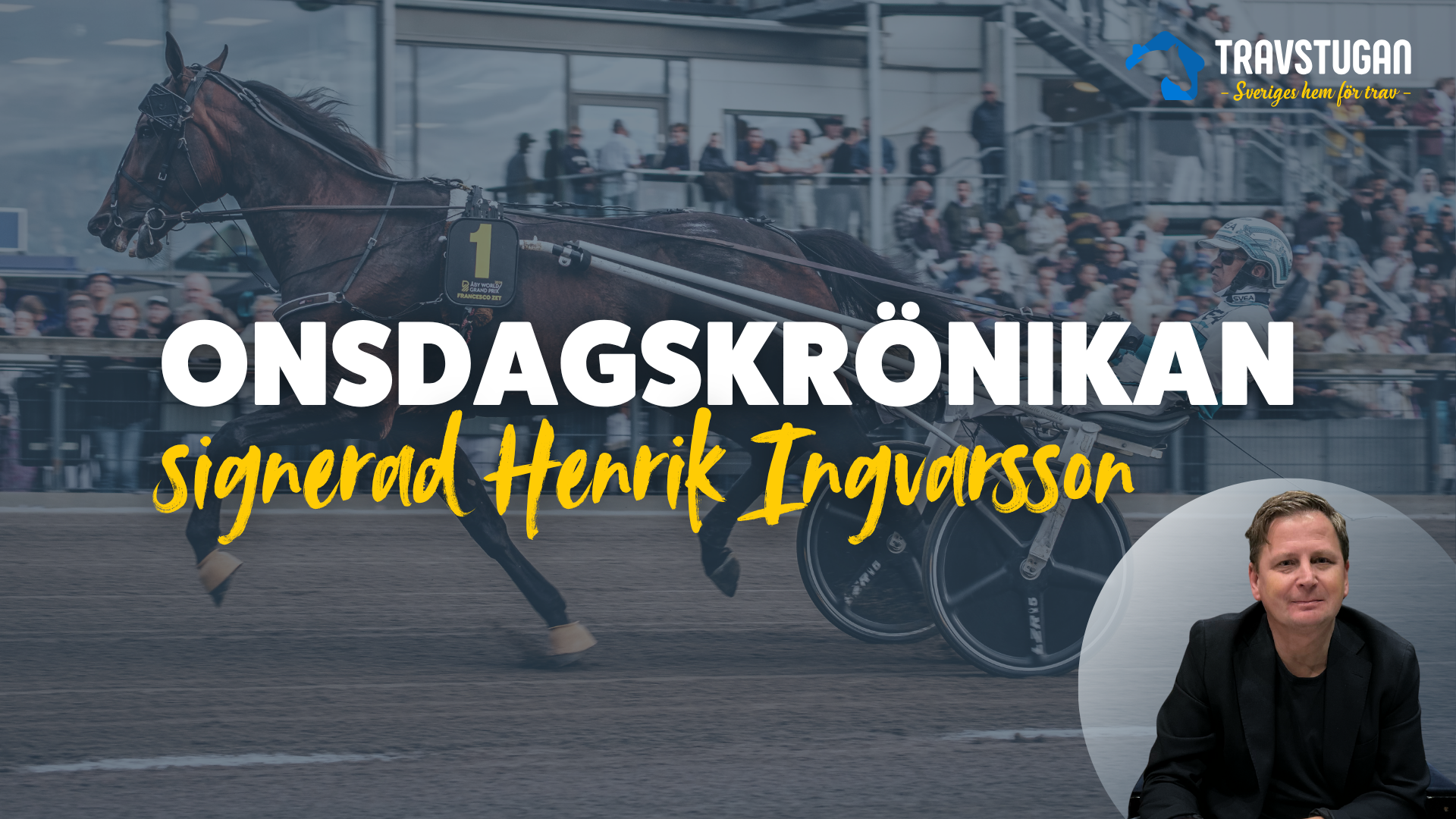 Deppigt om Sveriges bäste inte är med i Elitloppet