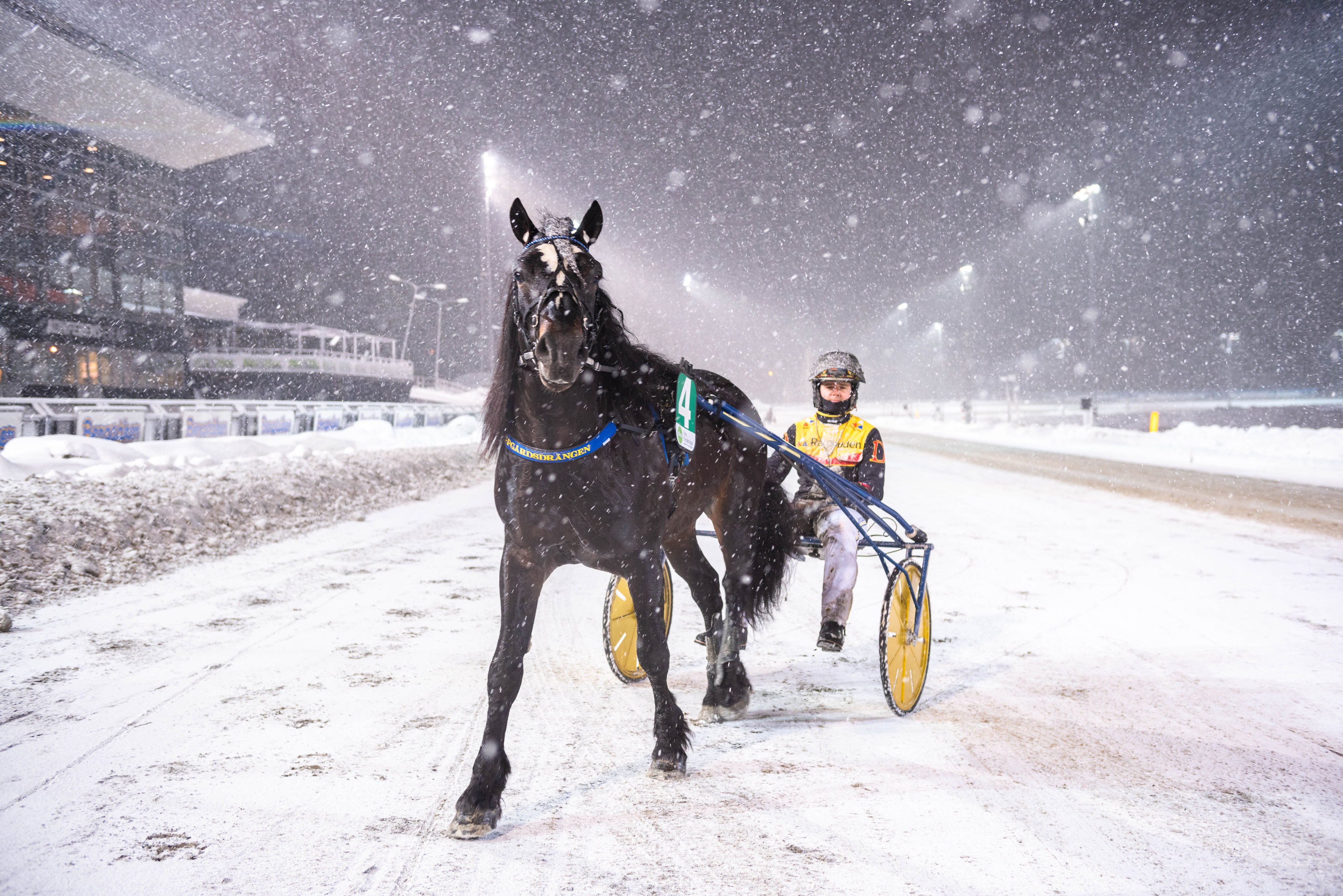 Martin Engström travtips