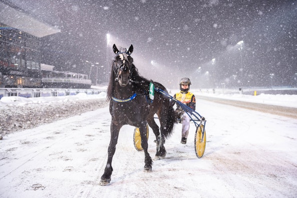 Oppgardsdrangen vinnarcirke