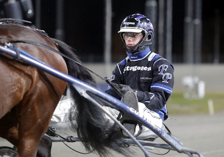 Plassen Fredrik sulky 1 2