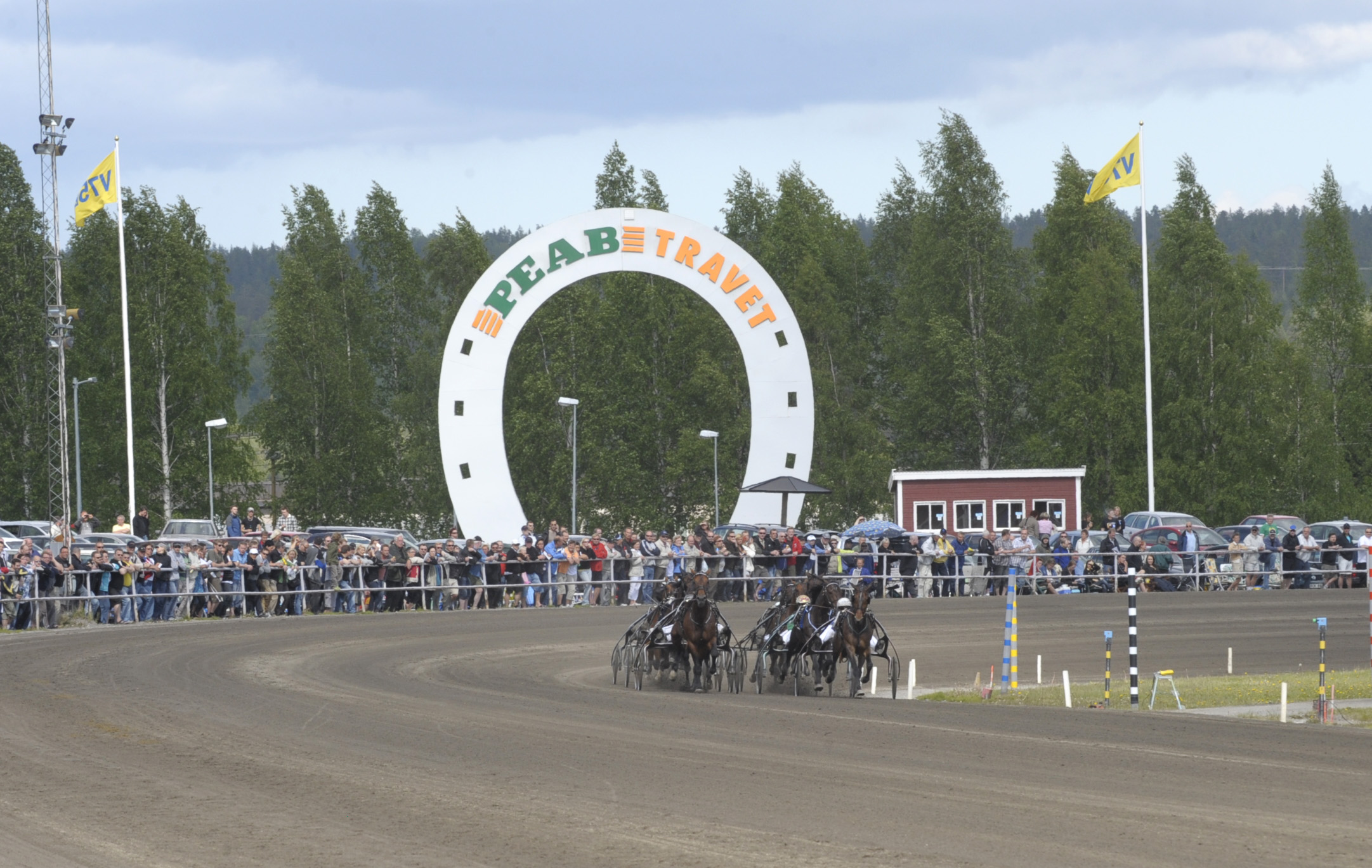 Martin Engström travtips