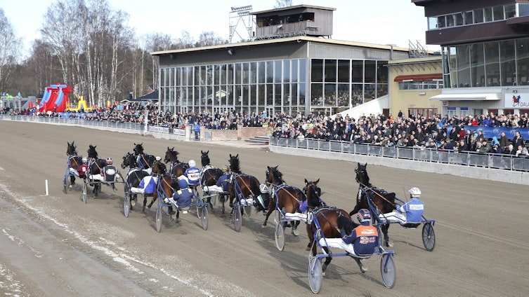 Travtips V64: Dags för hemmahästen!