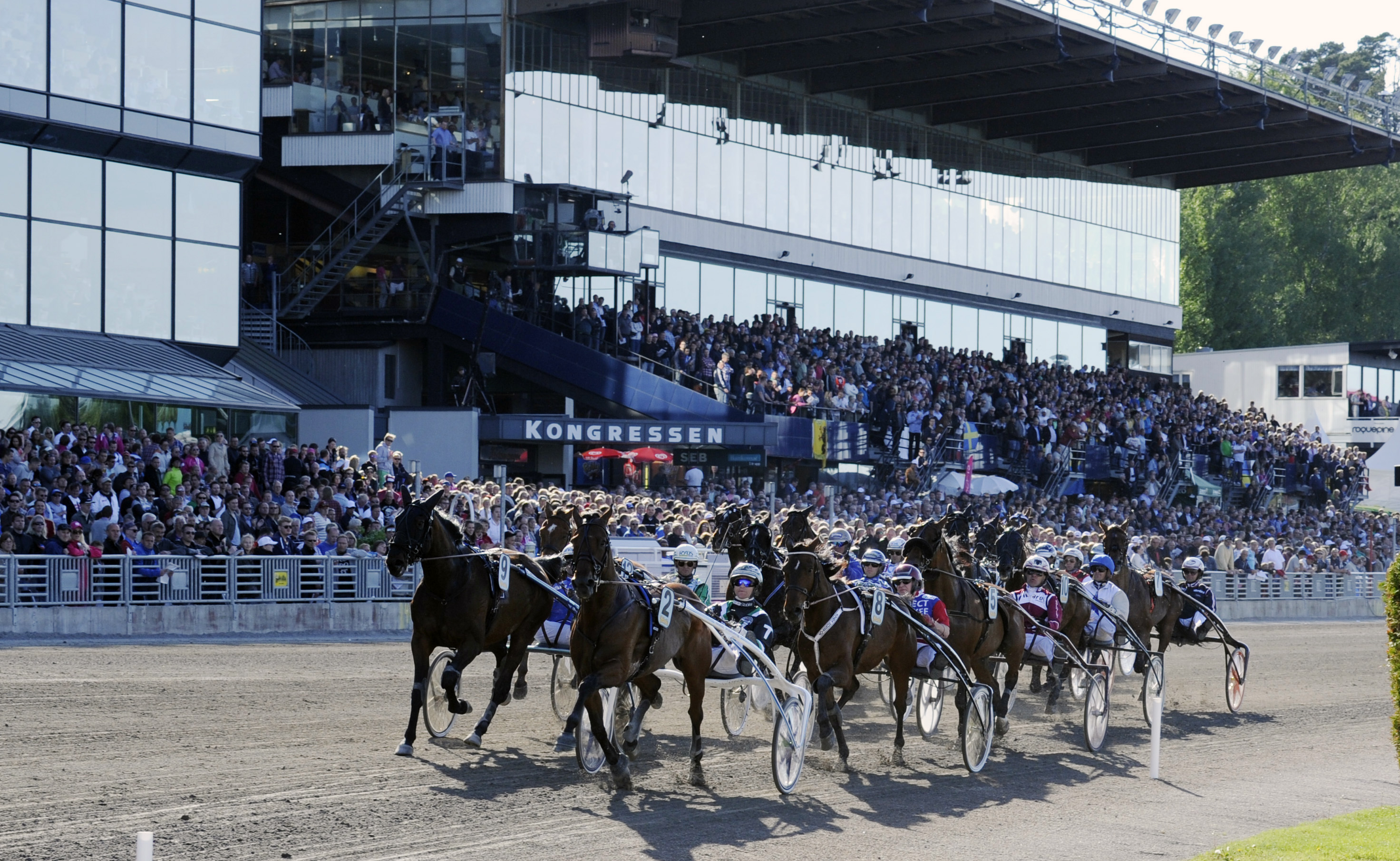 Martin Engström travtips