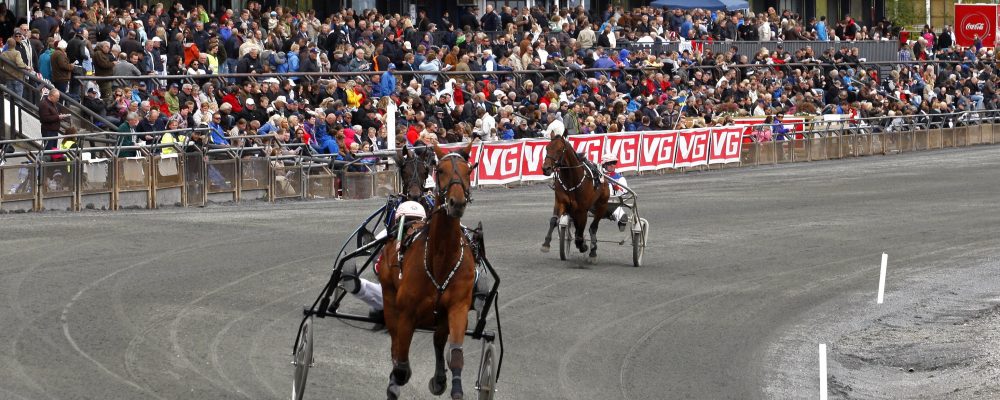 Bjerke