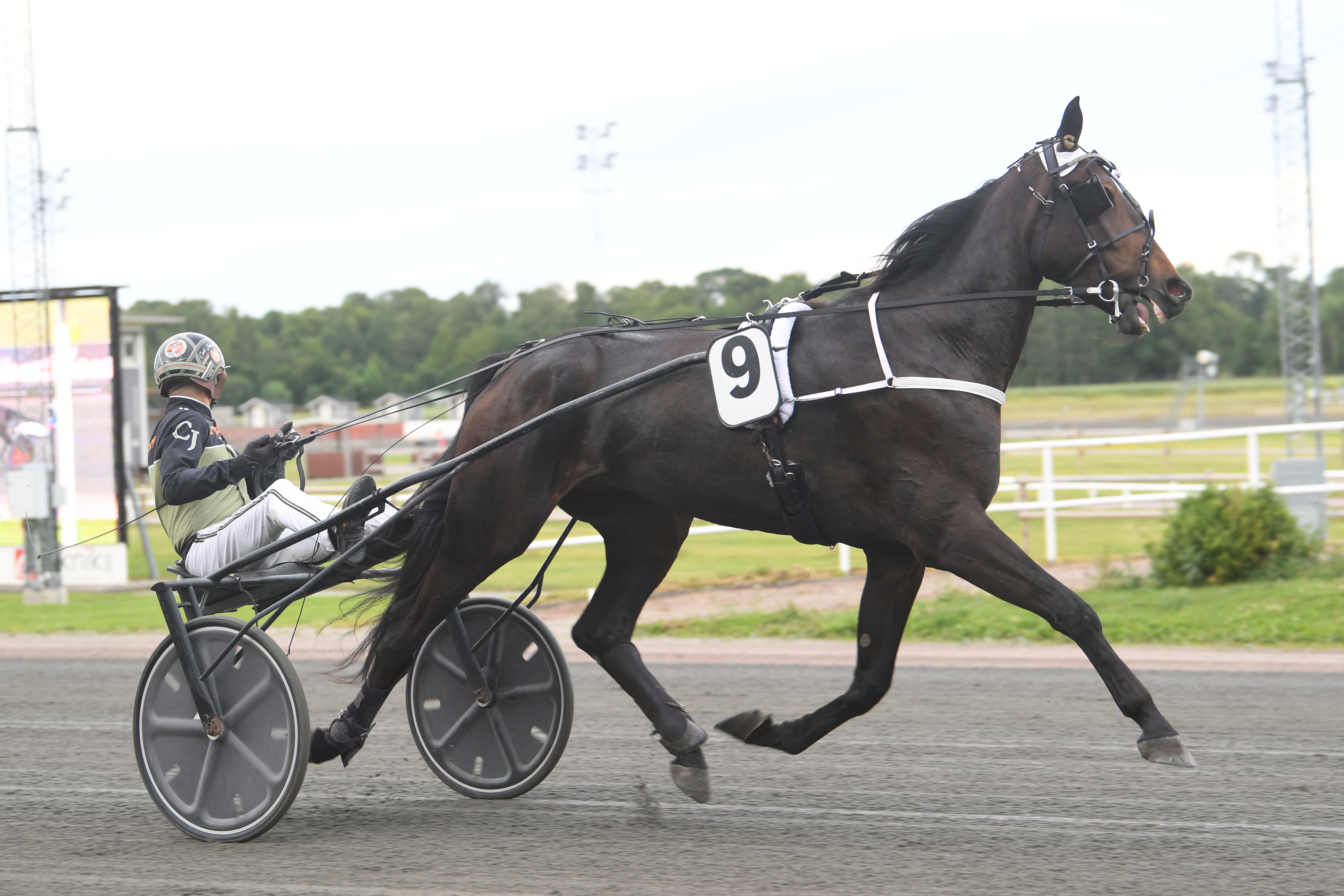 Kim Lagerhem travtips