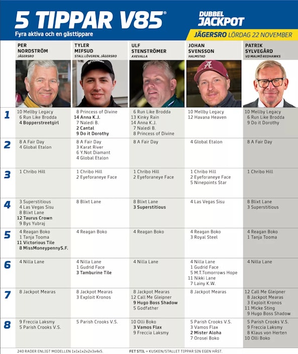 Ska I rmavbild 2025 11 17 kl 13 53 35