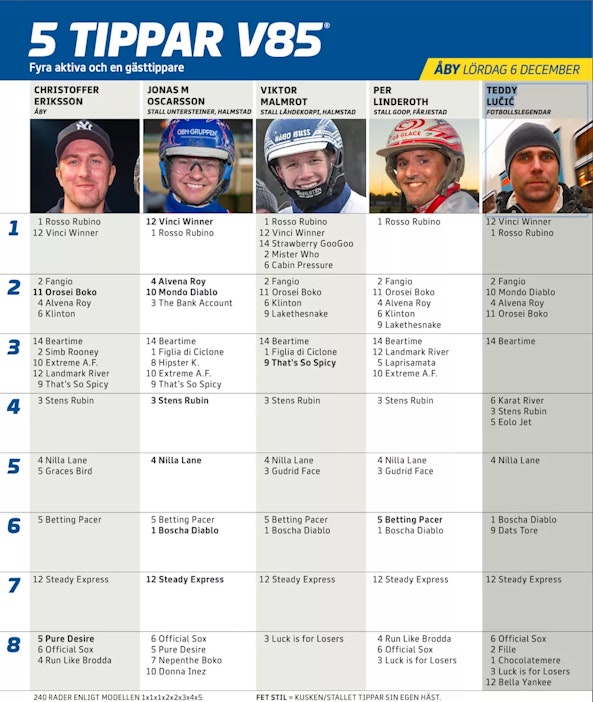 Ska I rmavbild 2025 12 01 kl 14 13 20