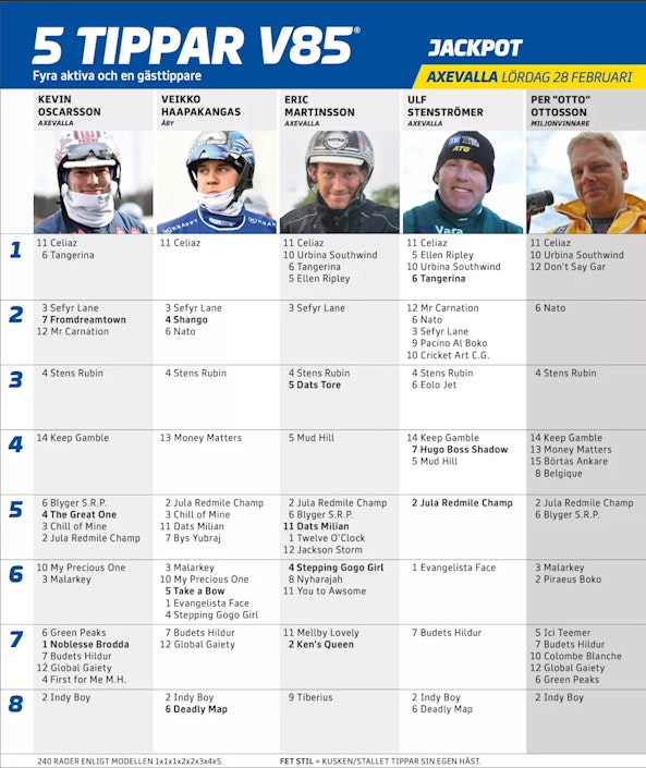 Ska I rmavbild 2026 02 23 kl 15 13 20