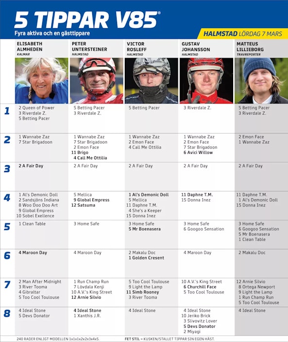 Ska I rmavbild 2026 03 02 kl 15 28 35