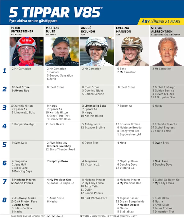 Ska I rmavbild 2026 03 16 kl 13 53 22