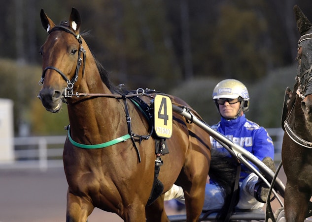 Skarmavbild 2021 06 23 kl 15 27 48