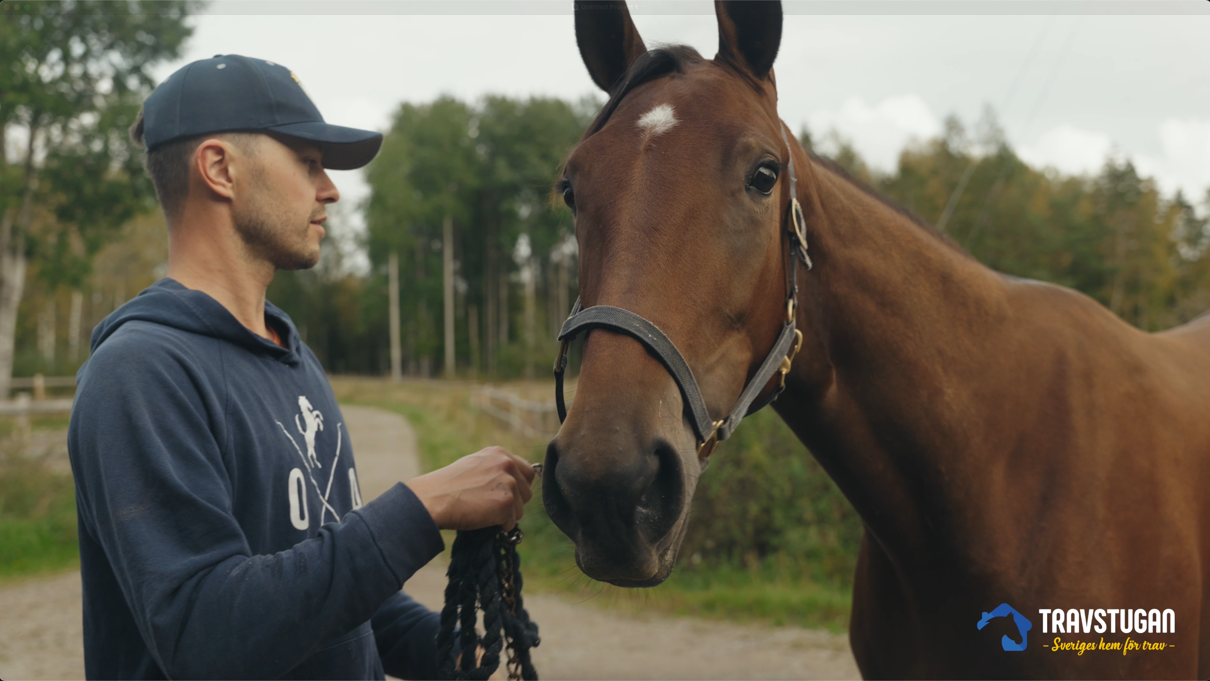 Travstugan besöker andelshästen Princess Victoria