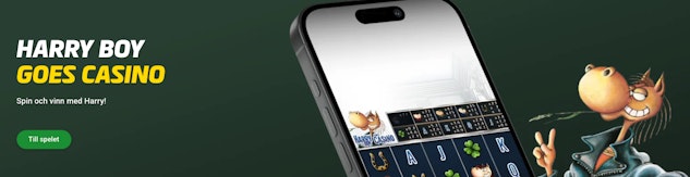 Skarmavbild 2025 12 30 kl 13 17 52