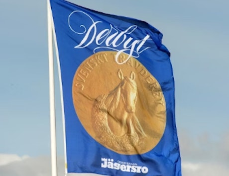 Skarmbild 2025 06 16 140004