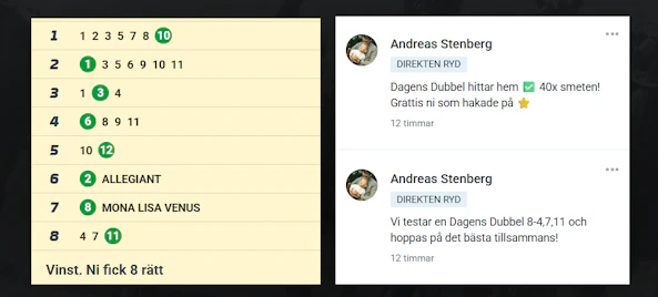 Skarmbild 2025 06 19 092755