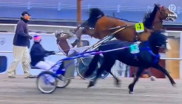 Skarmbild 2025 11 08 124253