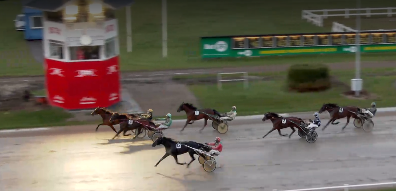 Martin Engström travtips