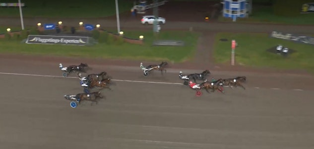 Skarmbild 2025 12 29 165728