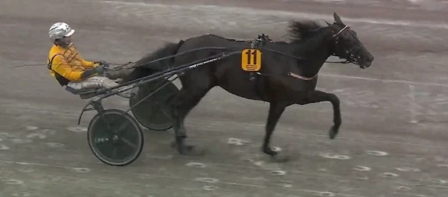 Skarmbild 2026 04 05 182839