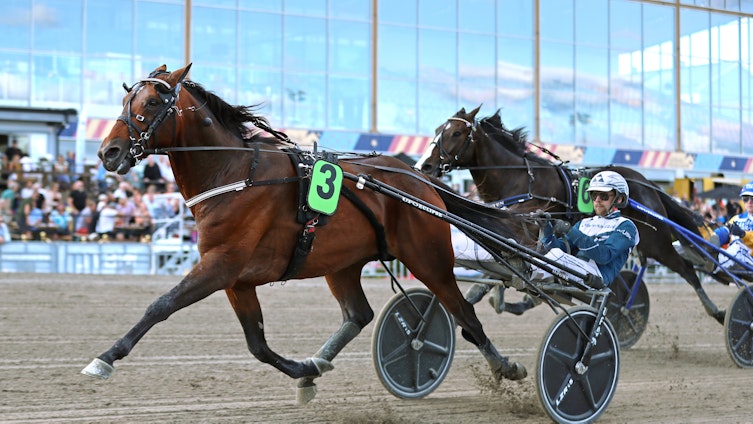 Travtips V75: Blir en kul eftermiddag!