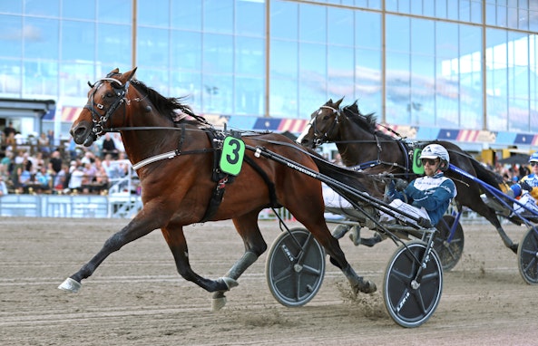 Staro Mack Crowe ma I l