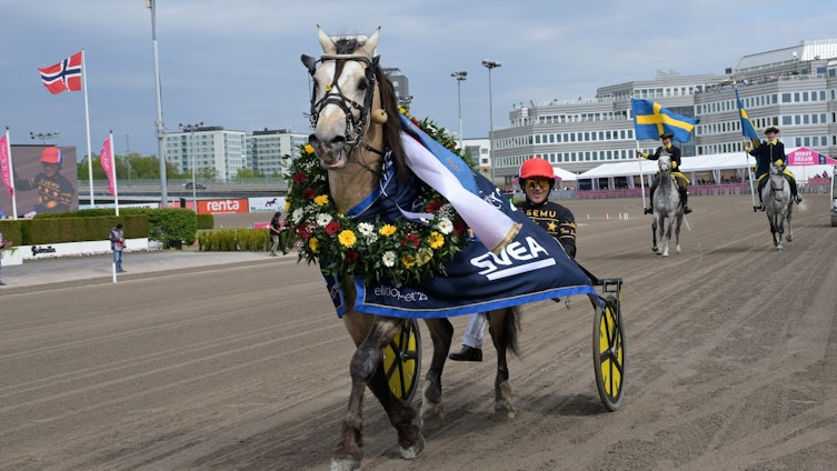 Travtips TIDIGA V75: Står emot alla!?