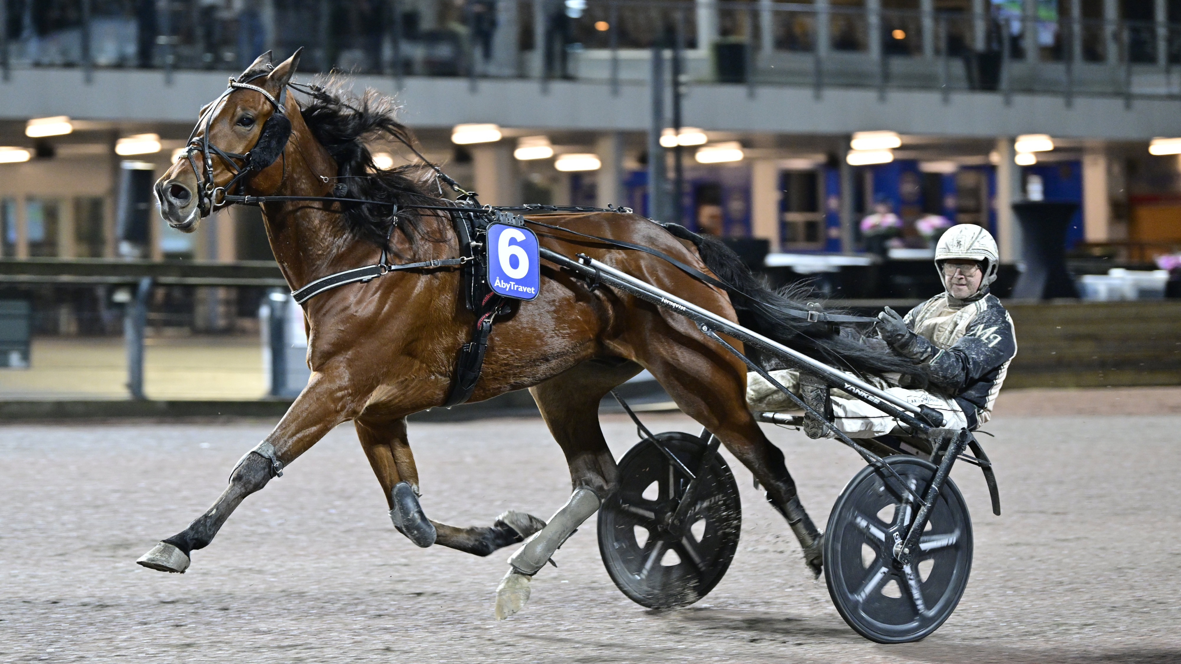 Internationella lopp under vintermeetingets sista dag