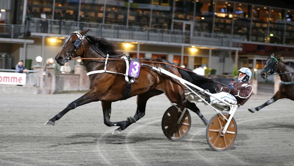 Undinia mal 1 Cropped