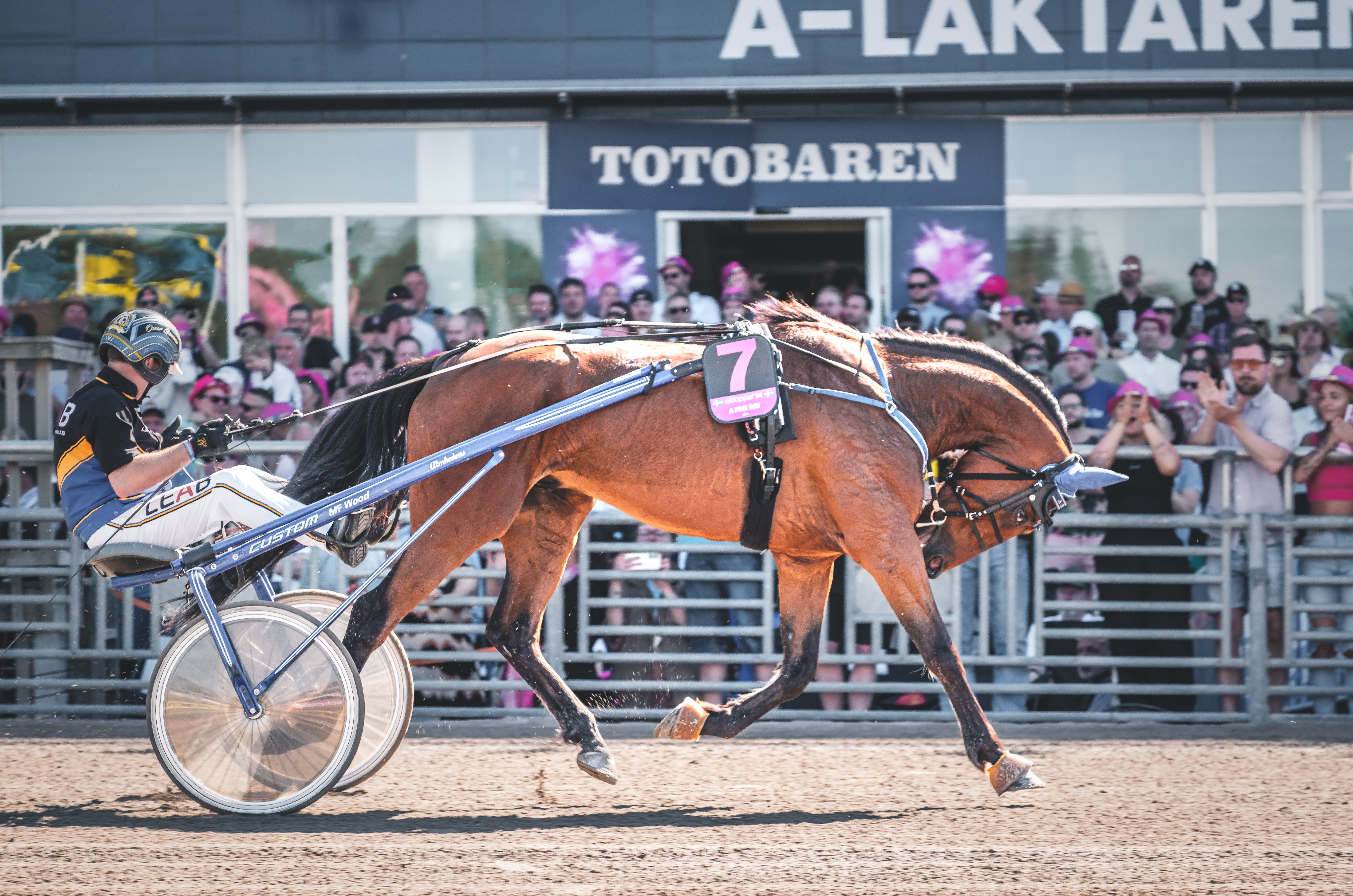 Christian Sandholm travtips