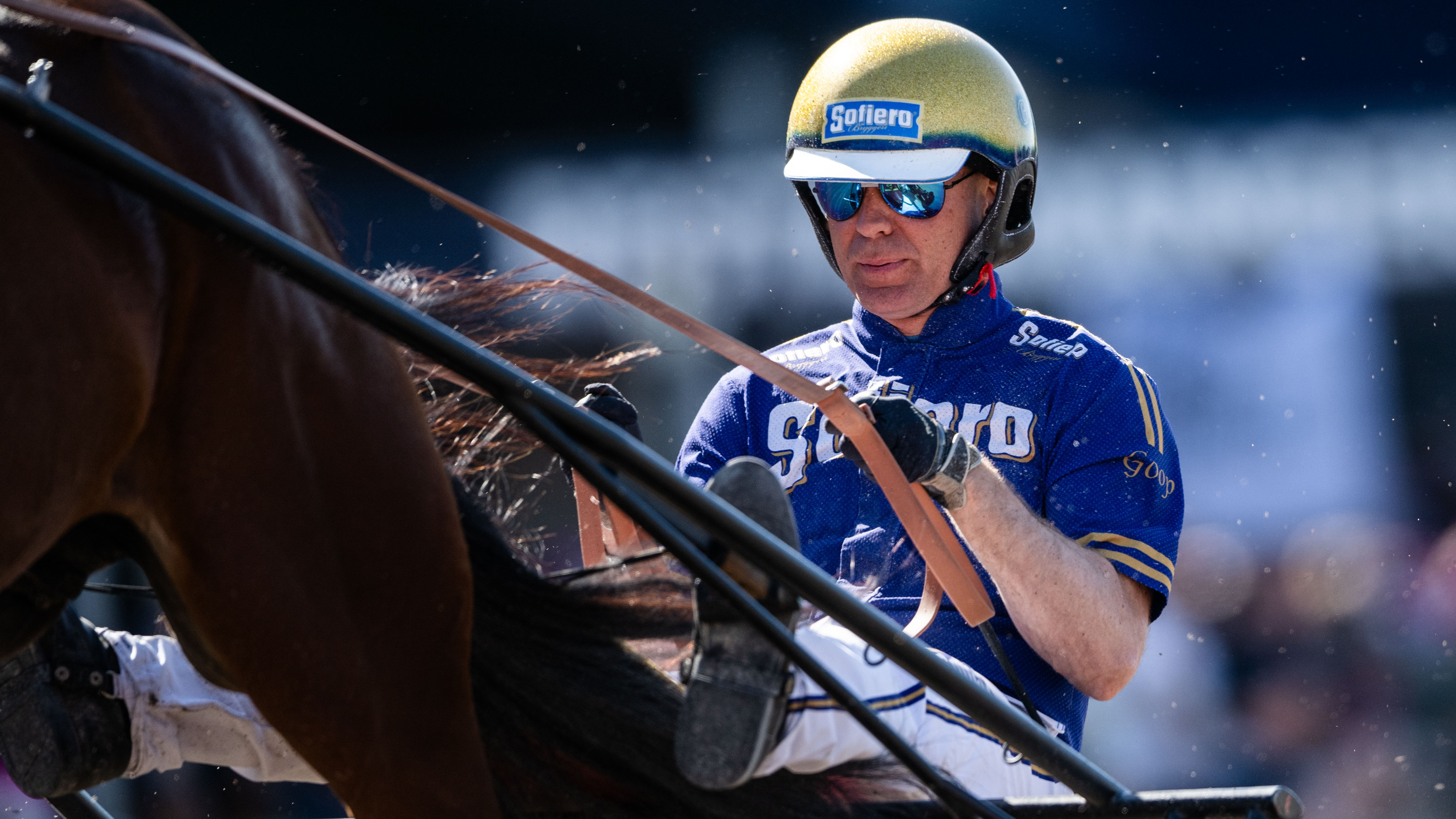 Martin Engström travtips