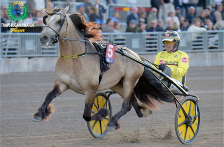 Brenne borken winner