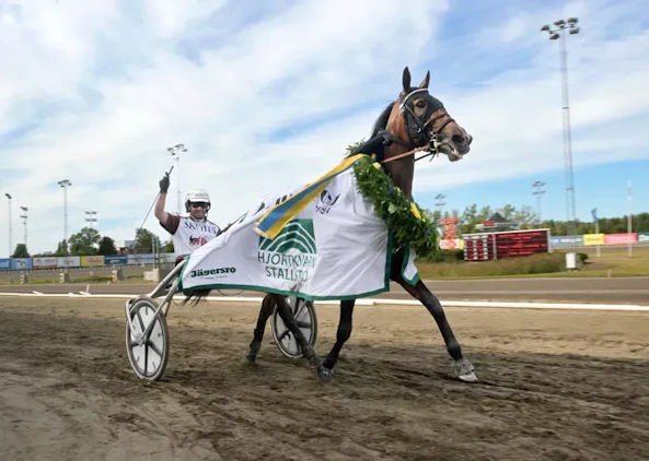 Daim brodda segerdefilerar