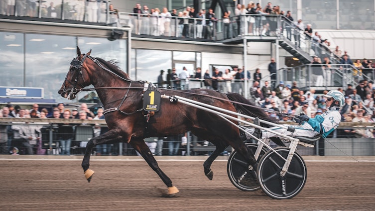 Travtips V75 Lördag – Fantastiska travtävlingar på hemmaplan