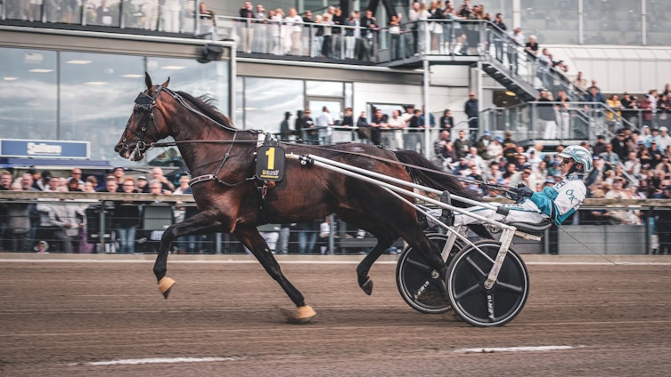 Travtips V86: Han bara vinner!