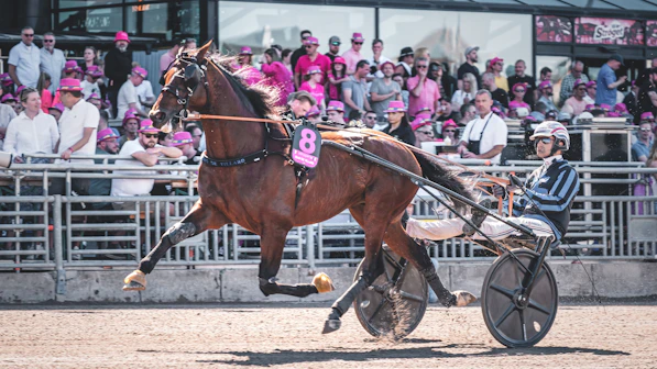 Foto: Jonatan Östlund