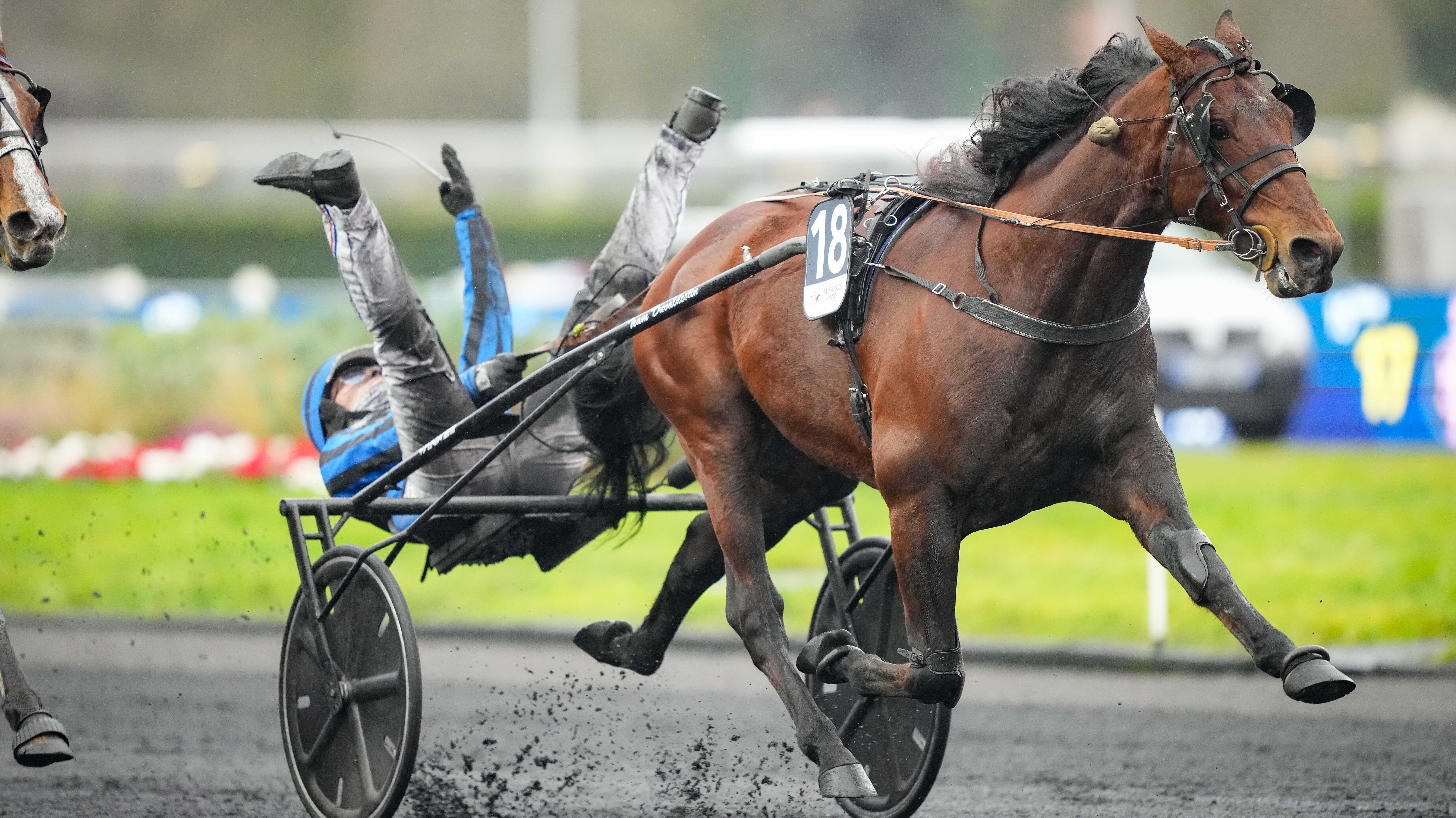 Idao de tillard Cropped