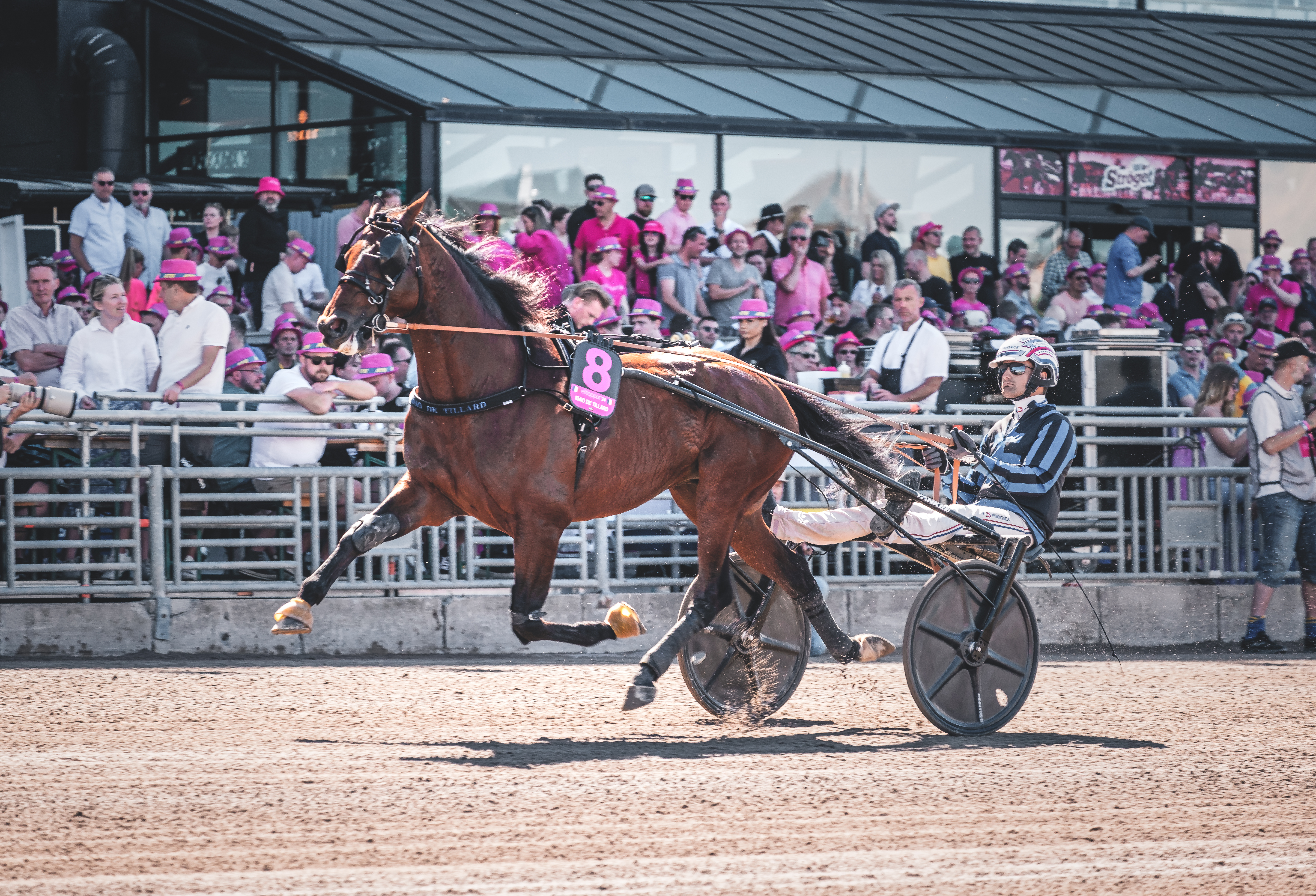 Travtips V75-tips: Elitloppskänsla över helgens superlördag