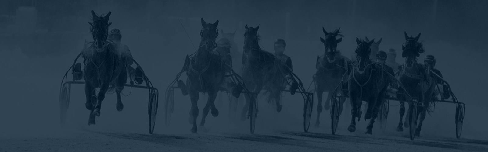 Main intro travstugan