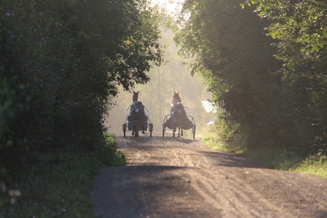 Solbacken gard oskar j andersson