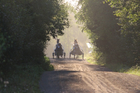 Solbacken gard oskar j andersson