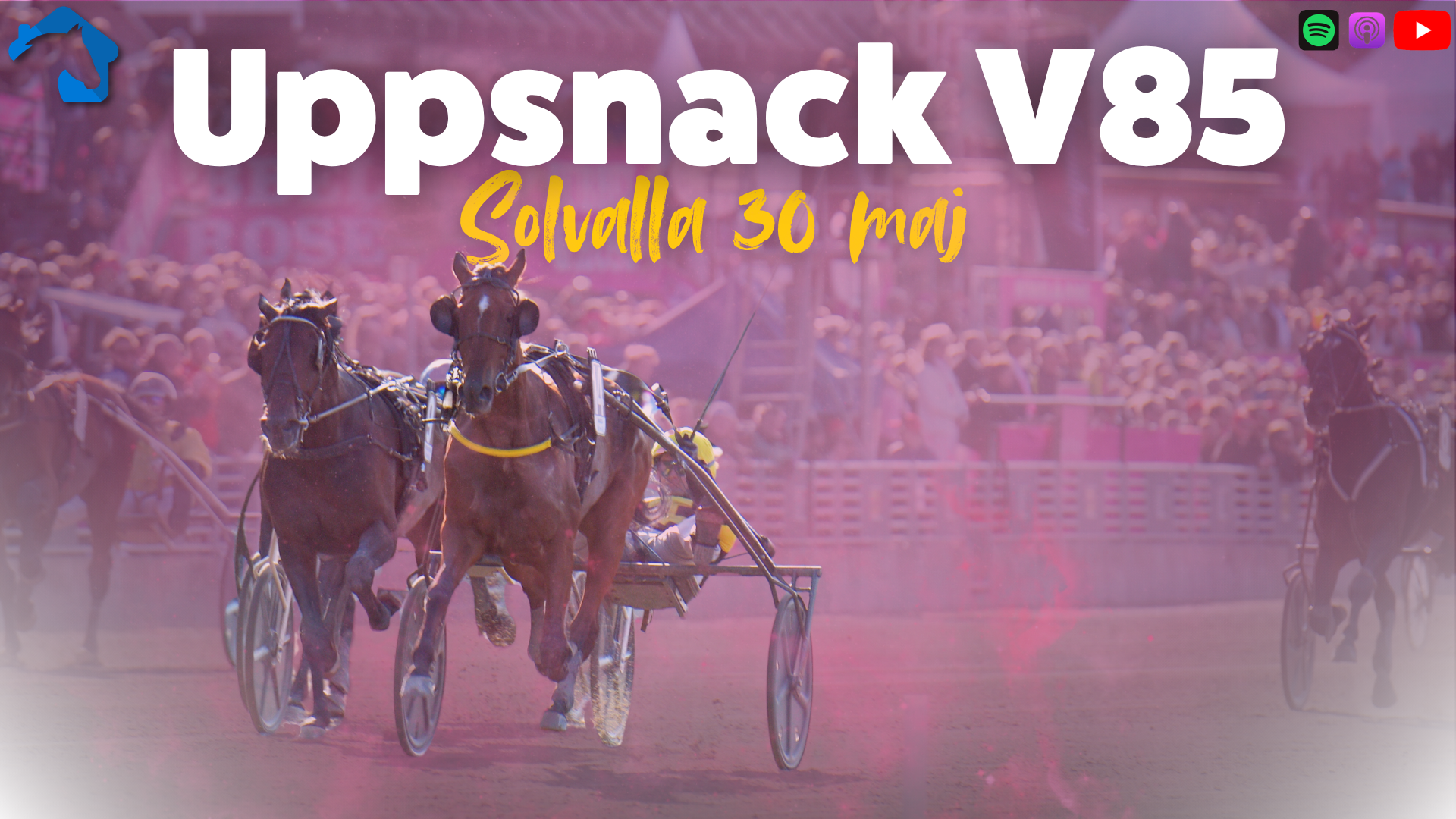 Uppsnack V85 travtips
