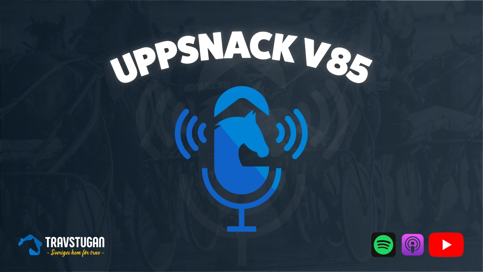 Uppsnack V85 travtips