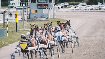 Visbytravet