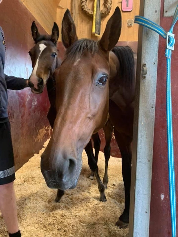 108062689 3714478268568917 1457211936775550369 n