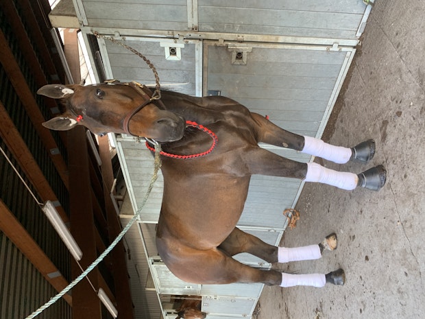 3 A90 EFD9 4 FE5 429 F 8258 E985 CAA65 FE7