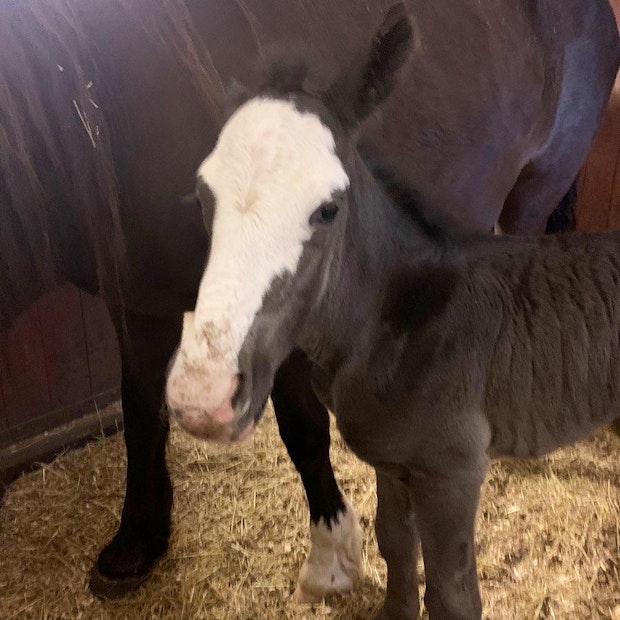 4 B7 B7 E4 D EBE6 41 FE AF06 8255 CE07343 D