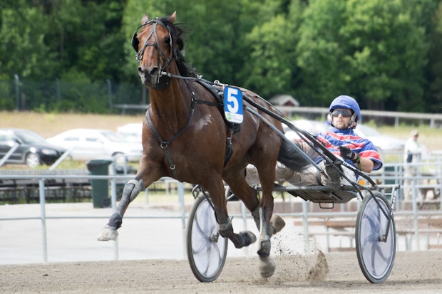 Allowable Johan Brandel 2643