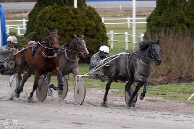 Devs Daredevil Musse 2995