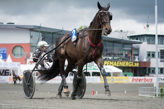 Elitloppslordag 8929