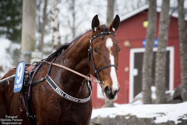 Flybury Am Dennis Ingvarsson 3154